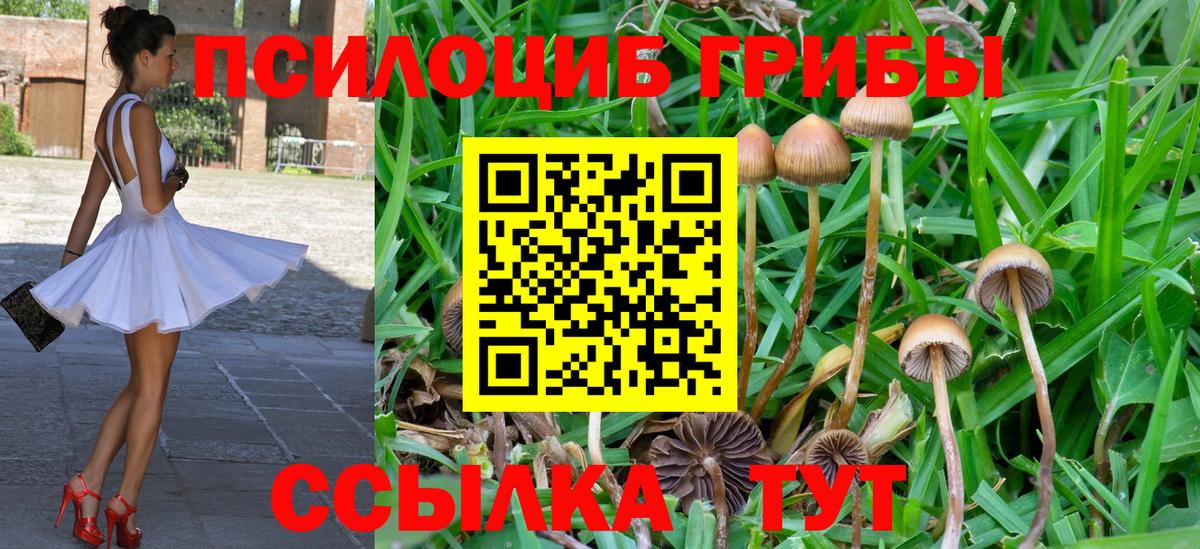 Галлюциногенные грибы мицелий Качканар