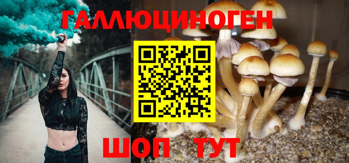 Качканар  Псилоцибиновые грибы Psilocybe  Галлюциногенные грибы ЛСД  Вход с VPN 
